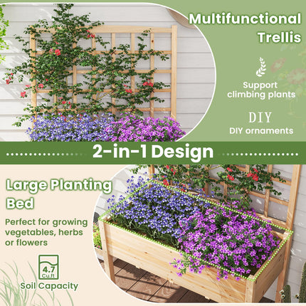 Dreamade Raised Garden Bed with Trellis